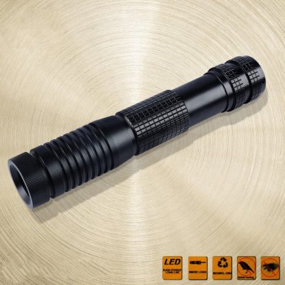 500mW verde del laser di fascio Bold